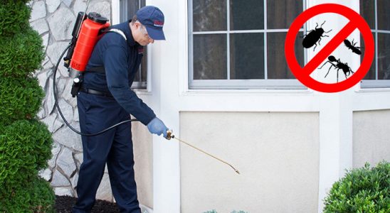 Atkaracalar Bit İlaçlama böcek ilaçlama ve haşere kontrolü — ilaclama-tr.com